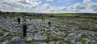 PICTURES/The Burren - Poulnabrone Portal Tomb/t_20250920_140507.jpg